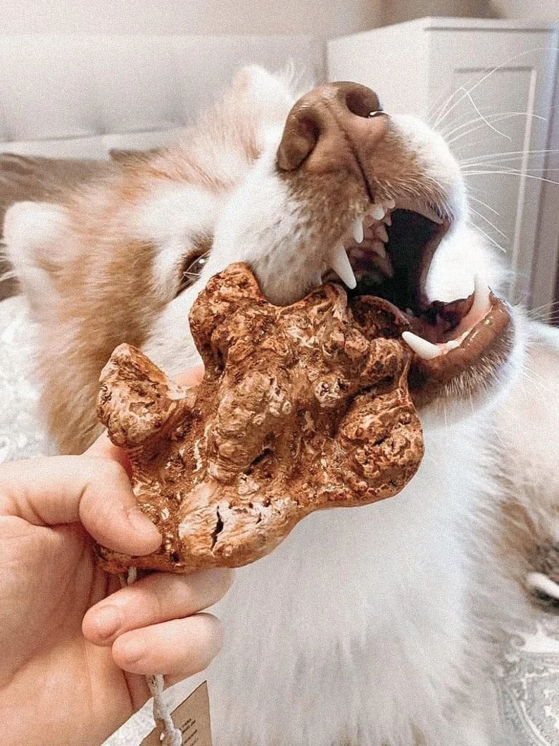 il_794xN.3885730727_j8t2