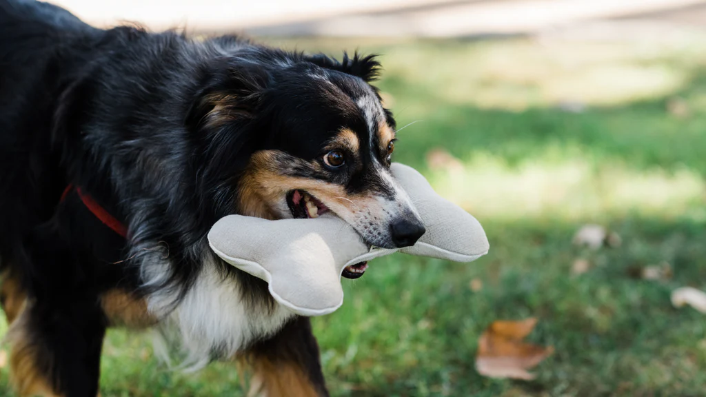 Hemp_Dog_Toys_The_Eco-Friendly_Choice_Your_Furry_Friend_Will_Love_1